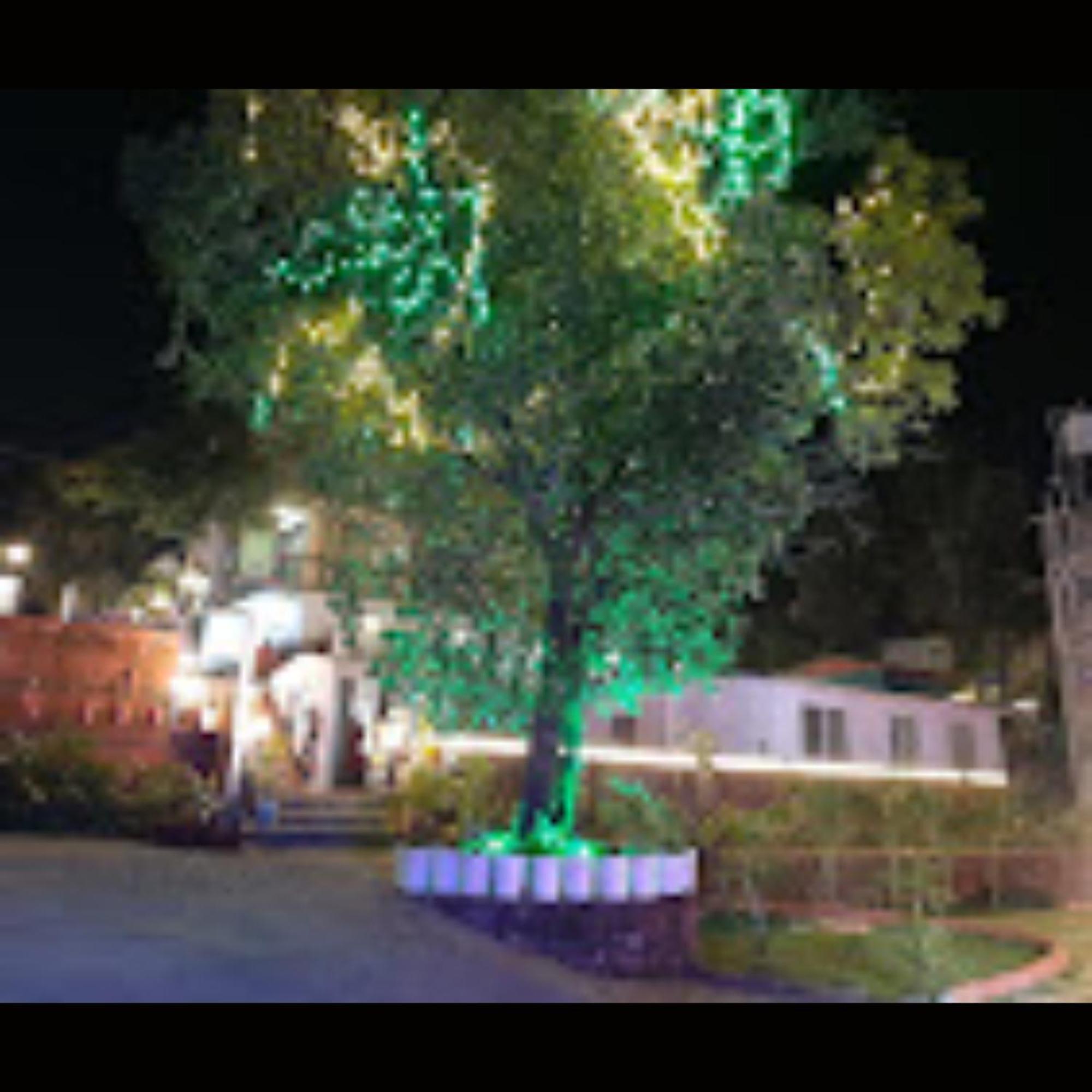 Strawberry County Otel Panchgani Dış mekan fotoğraf